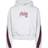 Jordan Sweatshirt med hætte X PSG Sweatshirt Kids 45b151-x58 Størrelse (128-140 cm)