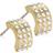 Blomdahl Grand Brilliance Curved Earrings - Gold/Transparent
