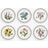 Portmeirion Botanic Garden Dinner Plate 26.7cm 6pcs