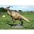 Design Toscano Jurassic-Sized Parasaurolophus Dinosaur Statue