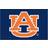Fanmats Auburn Tigers Rug