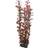 Hobby Dohse Ludwigia 34 cm