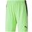 Puma Teamliga Shorts - Herre