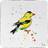 Betsy Drake CT634 Goldfinch Set of 4 Coaster