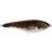 Strike Pro Buster Jerk, Shallow, 15cm Burbot