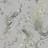 Holden Holden Decor Menali Grey Wallpaper