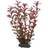 Hobby Dohse Ludwigia 25 cm