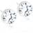 Blomdahl Earrings - Silver/Transparent