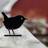 Wildlife Garden Silhouette Wren Dekorationsfigur 7cm