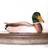 Wildlife Garden DecoBird Mallard Male Dekorationsfigur 12.1cm