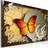 Arkiio Flight of a butterfly 120x80 Tavla
