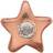Christina Christina collect forgyldt Element Topaz Star
