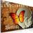 Arkiio Fiery butterfly and full moon 120x80 Tavla