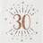 Santex Paper Napkins 30 Years 10-pack
