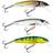 Salmo Lure Minnow 5F 5cm 3g 0.5-1.0m MIN