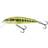 Salmo Minnow 50 Mm 5g Multicolor