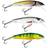 Salmo Minnow 50 Mm 5g Multicolor