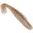 Z-Man Z-Man Diezel Minnowz 4 Inch 5 pcs