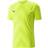 Puma Teamglory Jersey Trænings T-shirt - Grøn