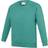 AWDis Kid's Academy Crew Neck Raglan School Sweatshirt 2-pack - Green