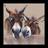 Donkeys Framed Art 33.5x33.5cm