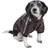 Petlife Wuff-Rider Fashion Suede Stitched Dog Jacket XS