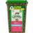 Greenies Dental Cat Treats Savory Salmon Flavor 0.594kg