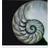 Empire Art Direct Pearly Nautilus Wall Decor 91.4x91.4cm