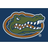 Imperial Florida Gators 3'10" x 5'4" Spirit Rug