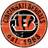 Fan Creations Cincinnati Bengals Distressed Round Sign Board