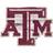 Fan Creations Texas A&M Aggies Distressed Logo Cutout Sign Board