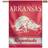 WinCraft Arkansas Razorbacks College Vault Single-Sided Vertical Banner