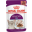 Royal Canin Sensory Feel Morsels in Gravy