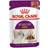 Royal Canin Sensory Smell Chunks in Gravy