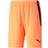 Puma Teamliga Shorts - Herre - Blå