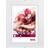 Hama Clip-fix Arg 15x21 Cm Frameless Picture Holder Photo Frame Hvid Ramme