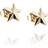 Efva Attling Catch A Falling Star �rh�nge