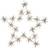 Star Trading Flower Transparent Julstjärna 60cm