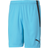 Puma Teamliga Shorts Atoll-PUMA