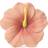 Oli & Carol Iris the Hibiscus Baby Teether