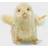 Steiff Piep Chick 11cm