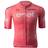 Castelli Giro105 Competizione Jersey M - Rosa Giro