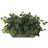 Nearly Natural Ivy Ledge Plant 12"