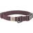 Carhartt Nylon Duck Dog Collar-Large