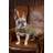 Digby & Fox Tweed Dog Coat Small