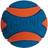 Chuckit! Ultra Squeaker Ball Medium