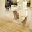 Carlson Hundegitter Ekstra Bred H 76 cm B 129 - 150 cm