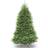 National Tree Company 7 ft Artificial Full Dunhill Fir Christmas Tree 213.4cm