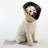 Four Paws Four Paws Pet E-collar Comfy Cone XXL Tan