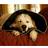 Hrse Four Paws e-halskrave Comfy Cone